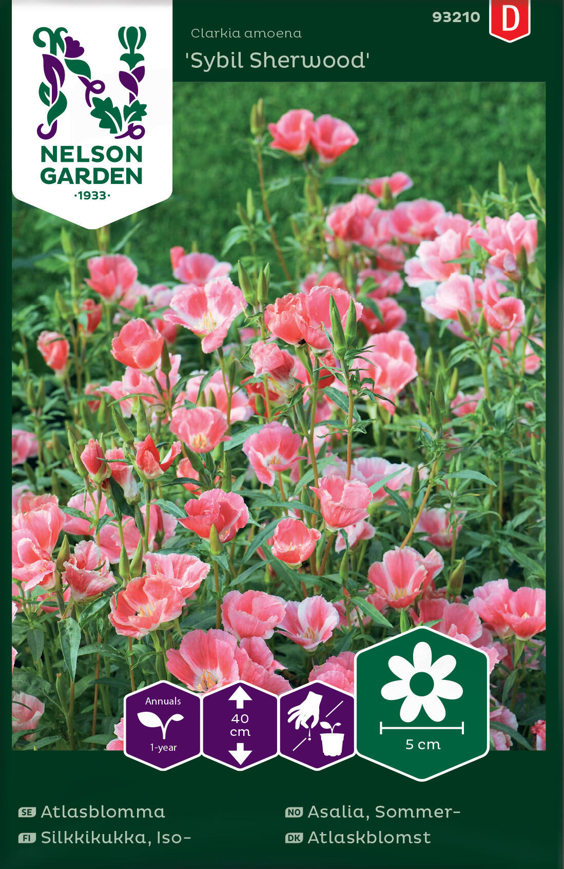 Atlasclarkia 'Sybil Sherwood'